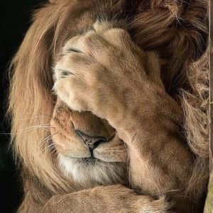 Meet your Posher, Alison